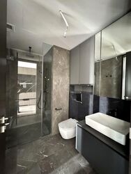 Irwell Hill Residences (D9), Apartment #577690751